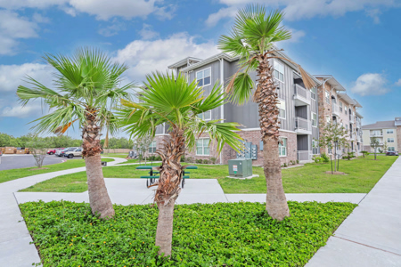 Sunland 12